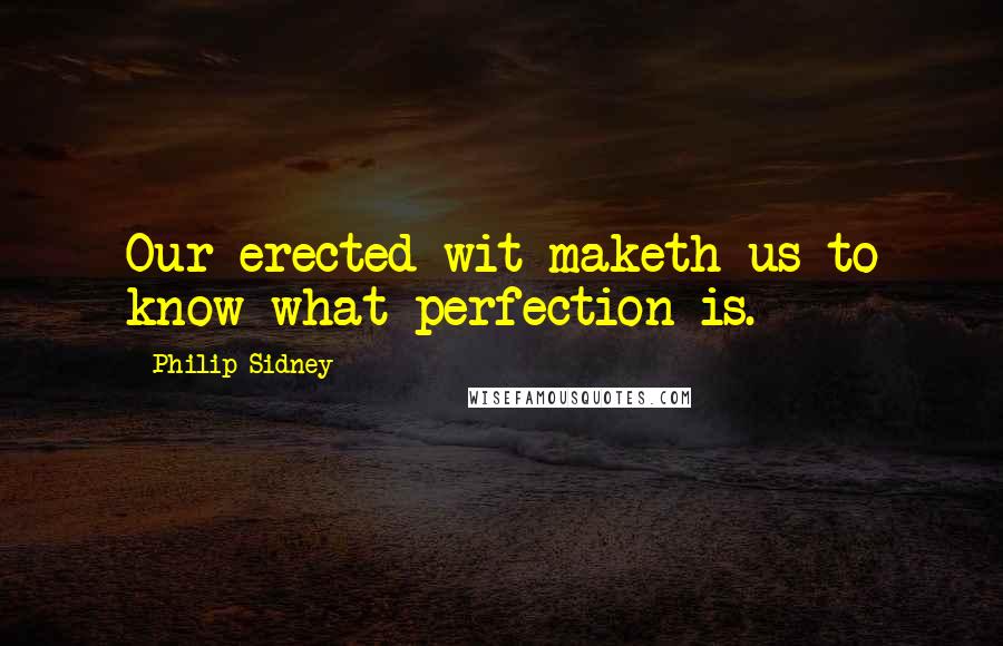 Philip Sidney Quotes: Our erected wit maketh us to know what perfection is.