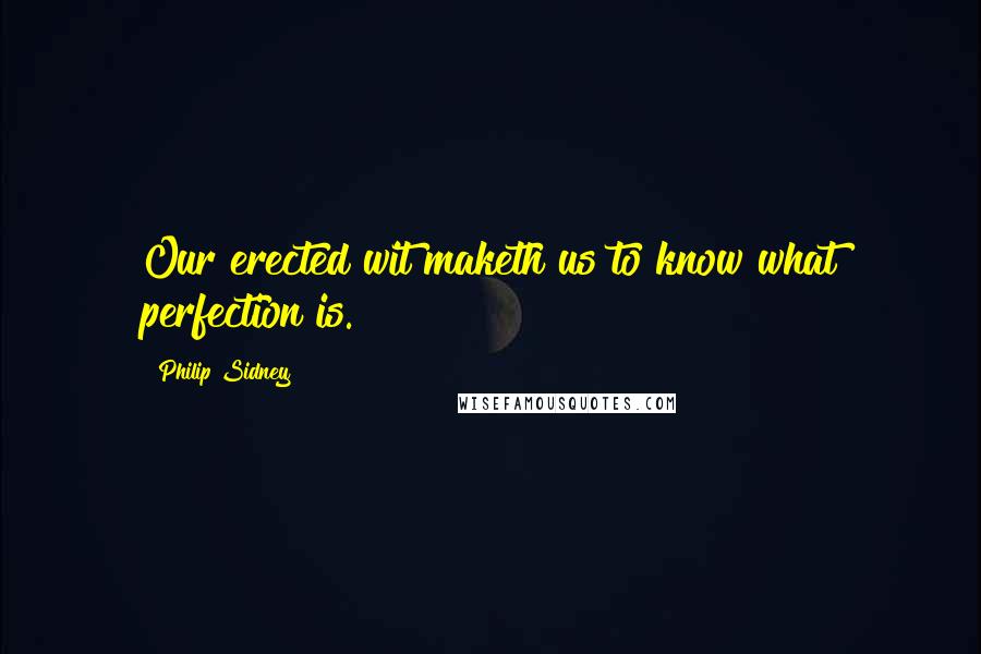 Philip Sidney Quotes: Our erected wit maketh us to know what perfection is.