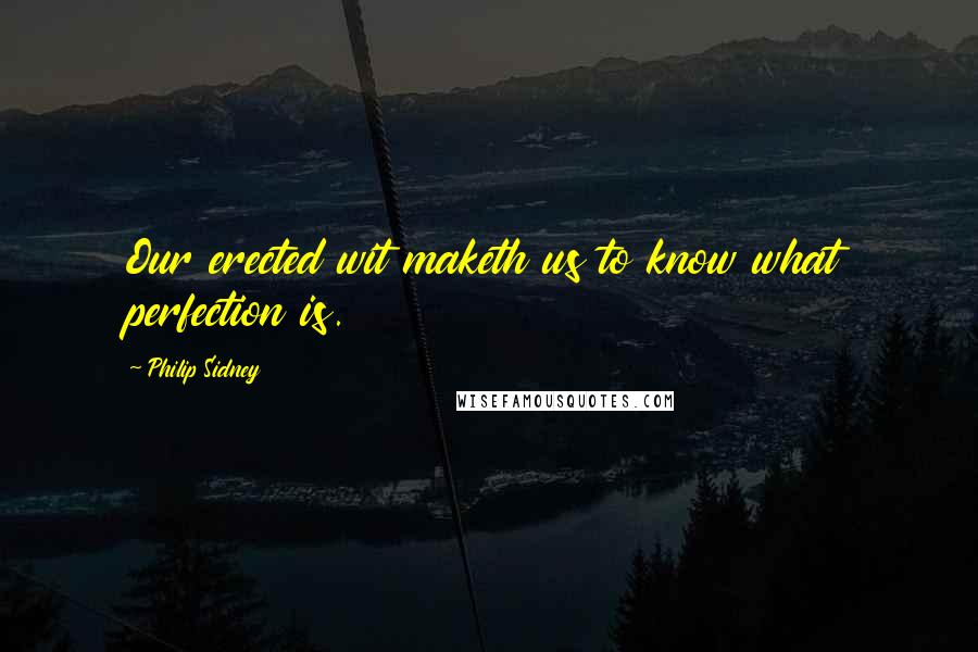 Philip Sidney Quotes: Our erected wit maketh us to know what perfection is.