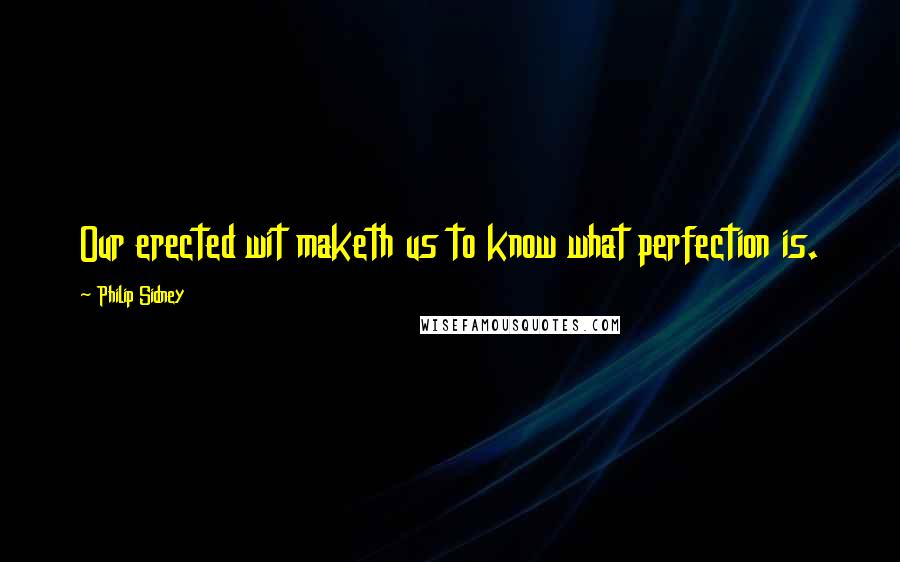 Philip Sidney Quotes: Our erected wit maketh us to know what perfection is.