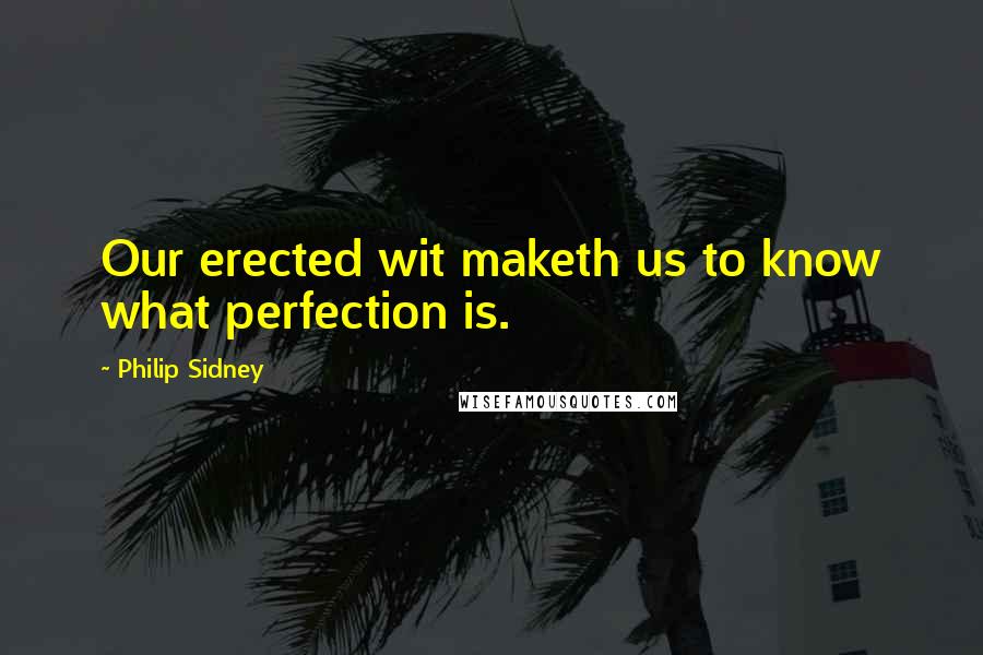 Philip Sidney Quotes: Our erected wit maketh us to know what perfection is.