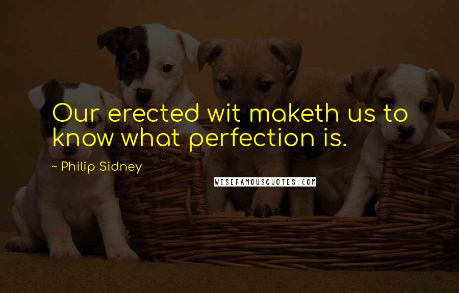 Philip Sidney Quotes: Our erected wit maketh us to know what perfection is.