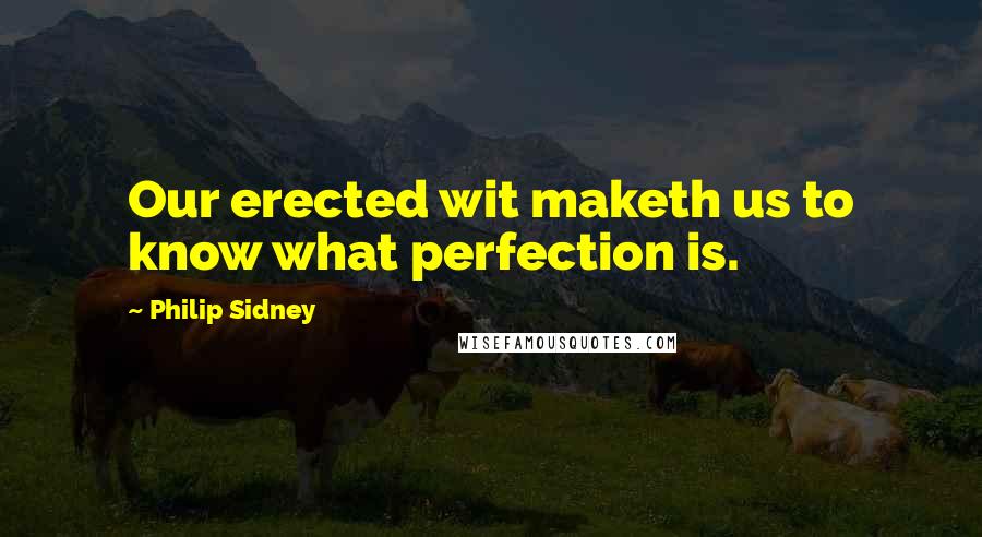 Philip Sidney Quotes: Our erected wit maketh us to know what perfection is.