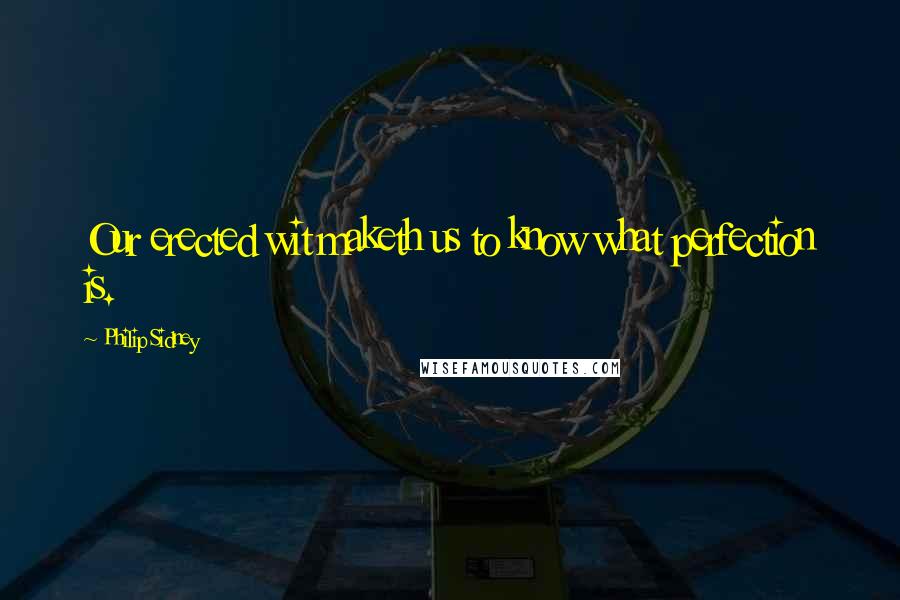 Philip Sidney Quotes: Our erected wit maketh us to know what perfection is.
