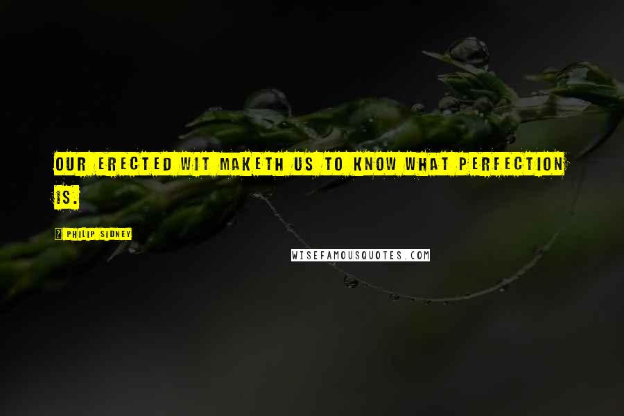 Philip Sidney Quotes: Our erected wit maketh us to know what perfection is.