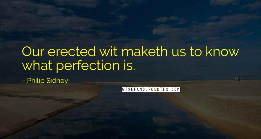 Philip Sidney Quotes: Our erected wit maketh us to know what perfection is.