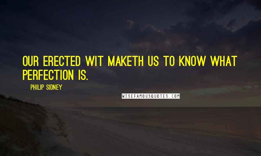 Philip Sidney Quotes: Our erected wit maketh us to know what perfection is.