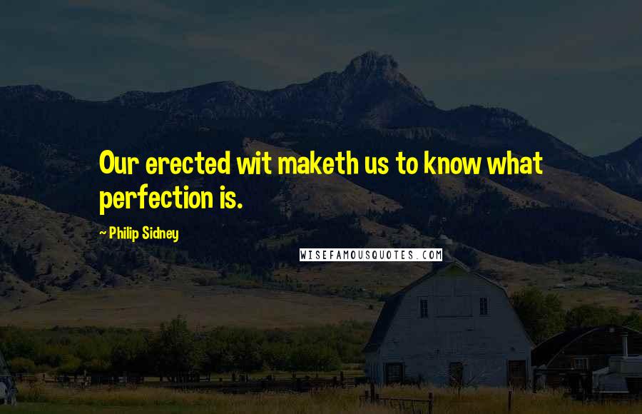 Philip Sidney Quotes: Our erected wit maketh us to know what perfection is.