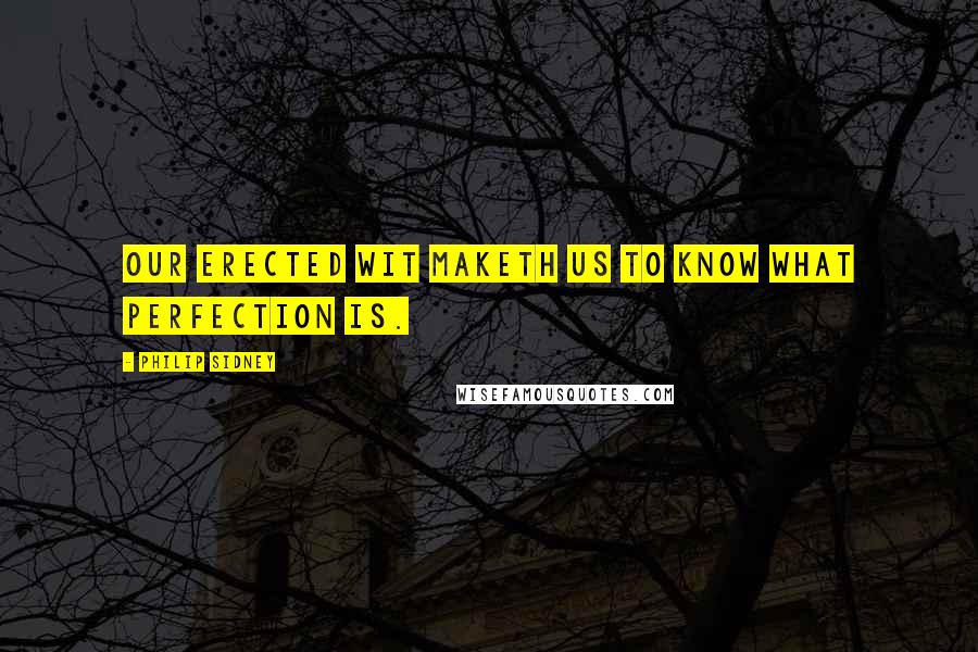 Philip Sidney Quotes: Our erected wit maketh us to know what perfection is.