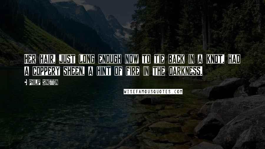 Philip Sington Quotes: Her hair, just long enough now to tie back in a knot, had a coppery sheen, a hint of fire in the darkness.