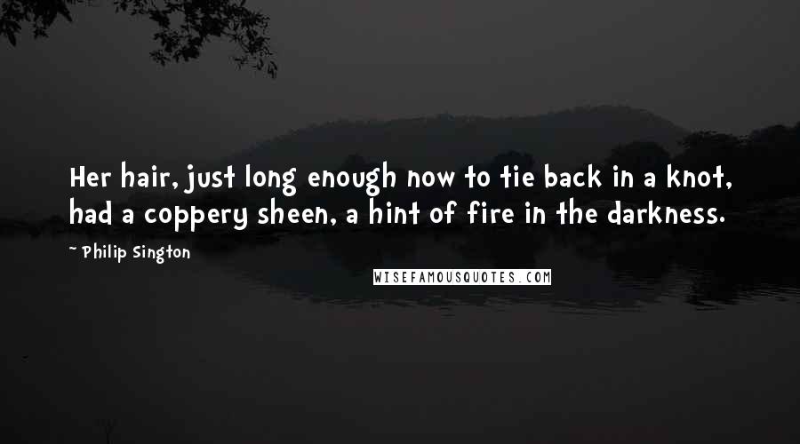 Philip Sington Quotes: Her hair, just long enough now to tie back in a knot, had a coppery sheen, a hint of fire in the darkness.