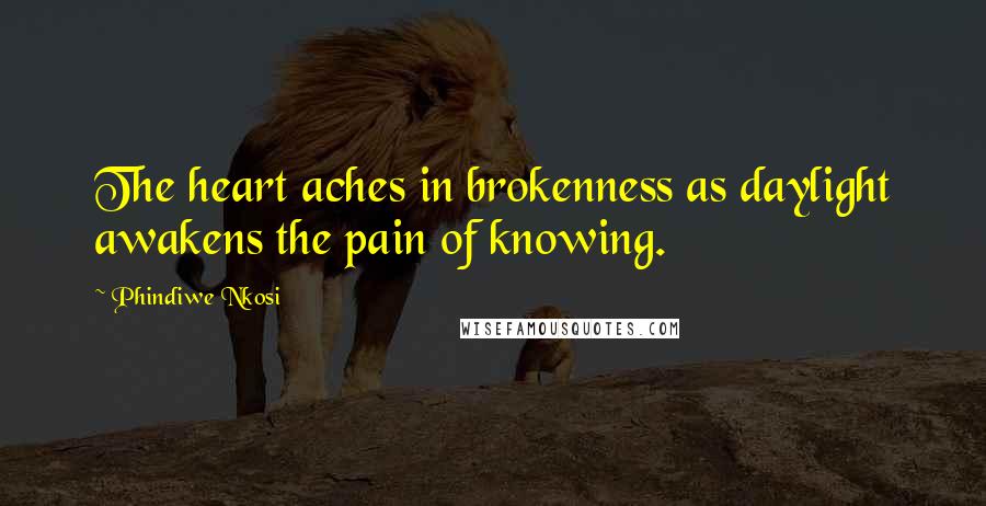 Phindiwe Nkosi Quotes: The heart aches in brokenness as daylight awakens the pain of knowing.