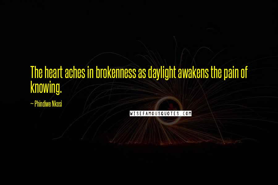 Phindiwe Nkosi Quotes: The heart aches in brokenness as daylight awakens the pain of knowing.