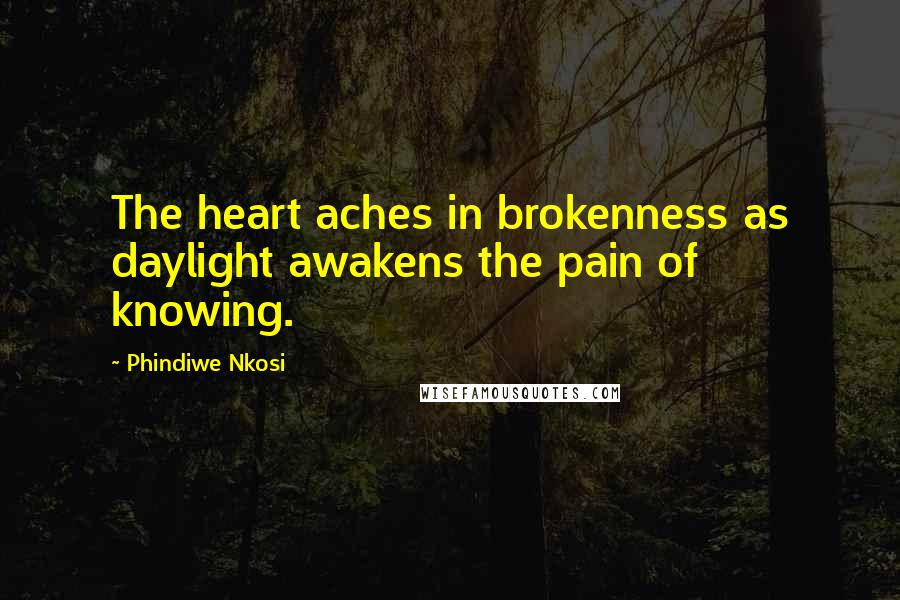 Phindiwe Nkosi Quotes: The heart aches in brokenness as daylight awakens the pain of knowing.