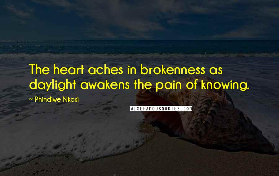 Phindiwe Nkosi Quotes: The heart aches in brokenness as daylight awakens the pain of knowing.