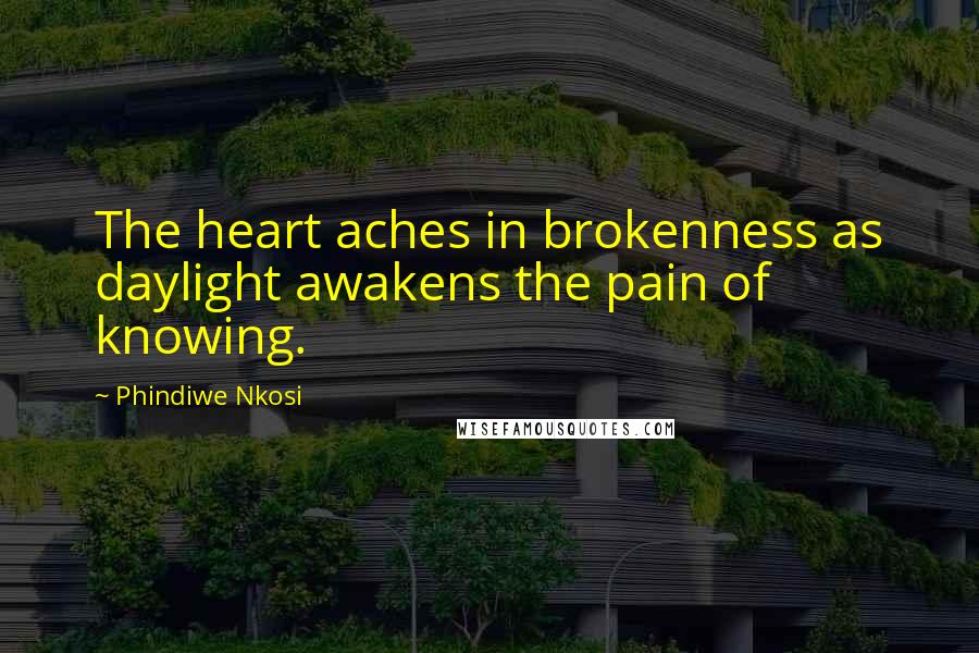 Phindiwe Nkosi Quotes: The heart aches in brokenness as daylight awakens the pain of knowing.