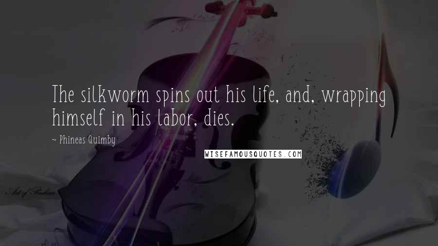 Phineas Quimby Quotes: The silkworm spins out his life, and, wrapping himself in his labor, dies.