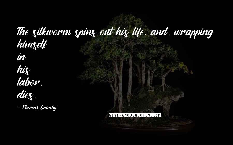 Phineas Quimby Quotes: The silkworm spins out his life, and, wrapping himself in his labor, dies.