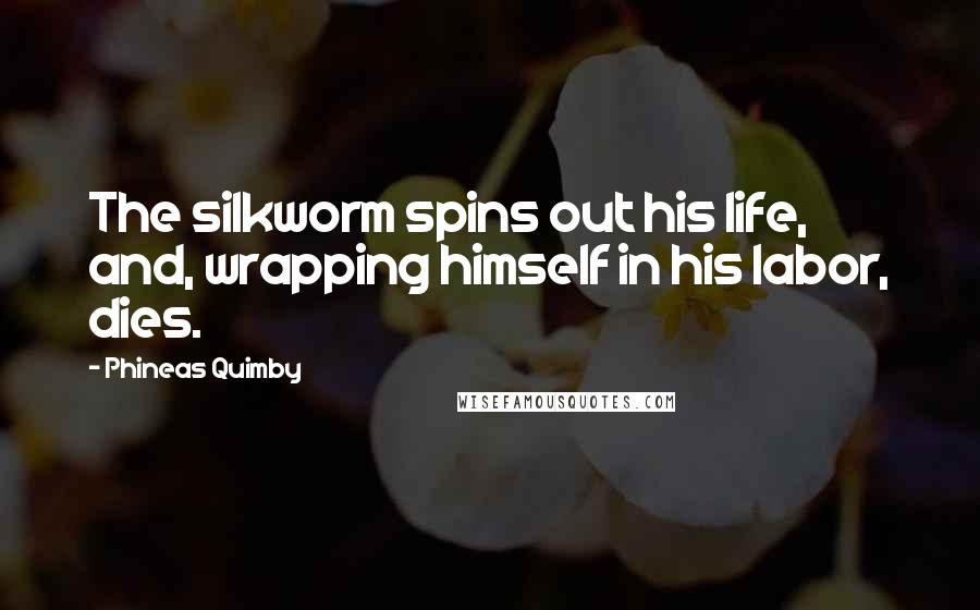 Phineas Quimby Quotes: The silkworm spins out his life, and, wrapping himself in his labor, dies.