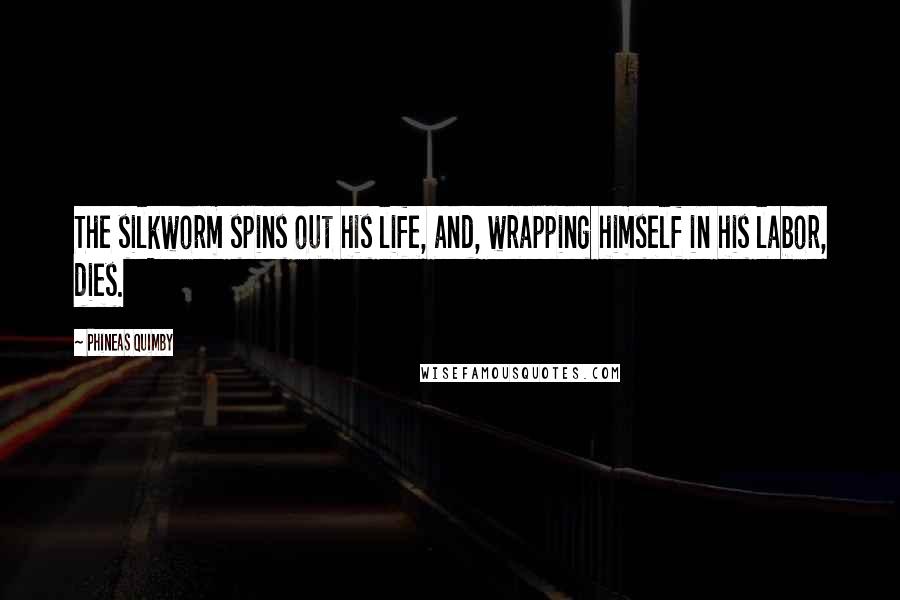 Phineas Quimby Quotes: The silkworm spins out his life, and, wrapping himself in his labor, dies.