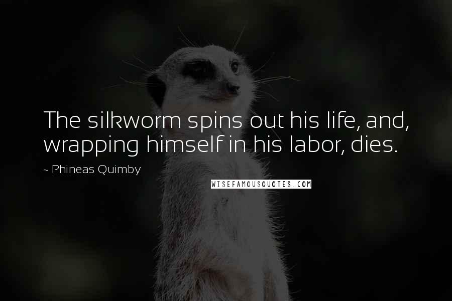 Phineas Quimby Quotes: The silkworm spins out his life, and, wrapping himself in his labor, dies.