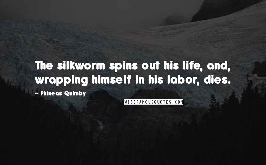 Phineas Quimby Quotes: The silkworm spins out his life, and, wrapping himself in his labor, dies.