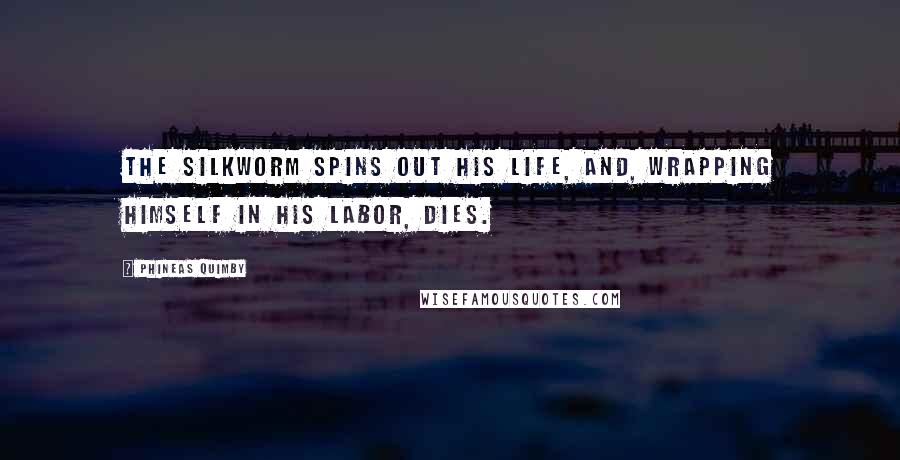 Phineas Quimby Quotes: The silkworm spins out his life, and, wrapping himself in his labor, dies.