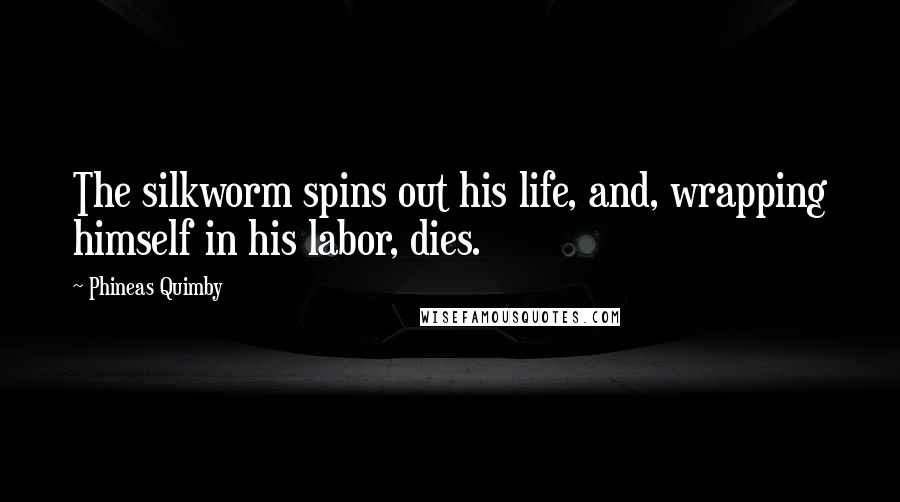 Phineas Quimby Quotes: The silkworm spins out his life, and, wrapping himself in his labor, dies.