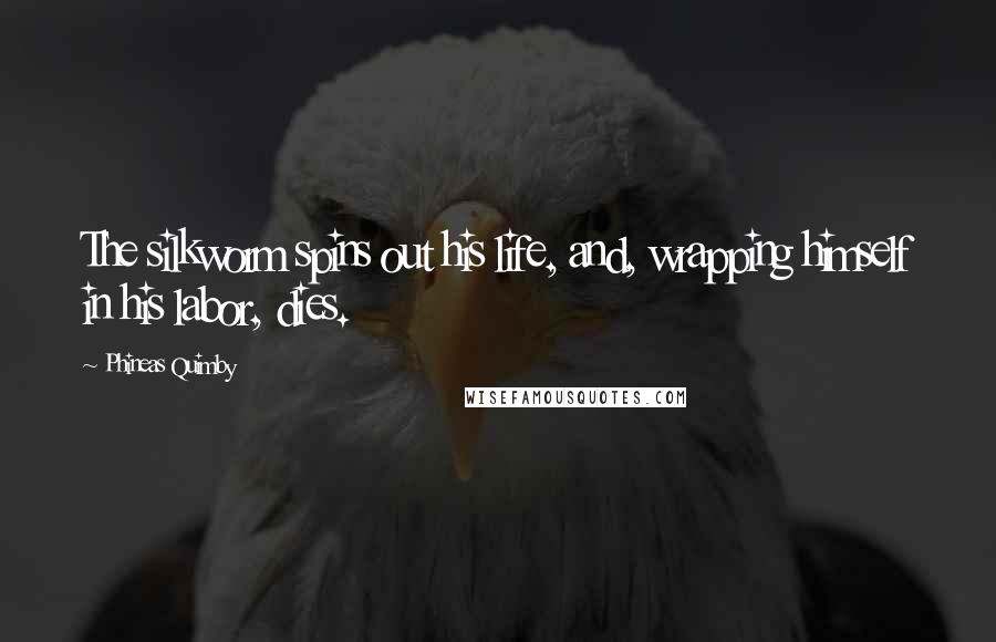 Phineas Quimby Quotes: The silkworm spins out his life, and, wrapping himself in his labor, dies.