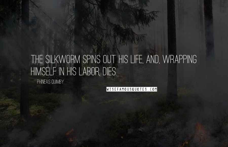 Phineas Quimby Quotes: The silkworm spins out his life, and, wrapping himself in his labor, dies.