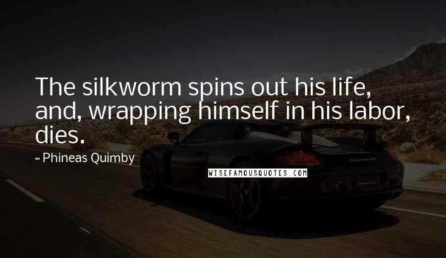 Phineas Quimby Quotes: The silkworm spins out his life, and, wrapping himself in his labor, dies.