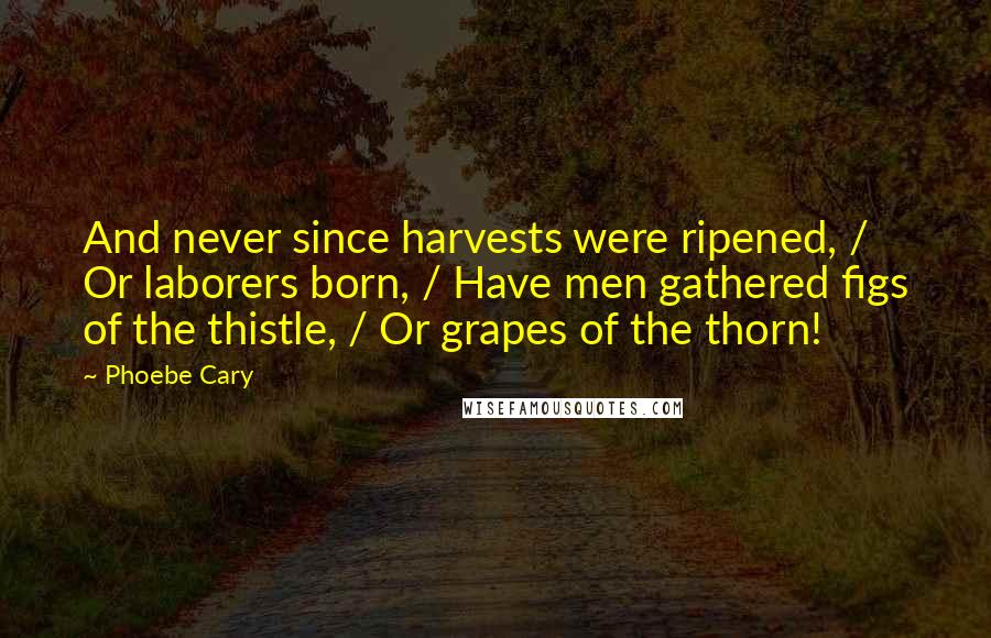 Phoebe Cary Quotes: And never since harvests were ripened, / Or laborers born, / Have men gathered figs of the thistle, / Or grapes of the thorn!
