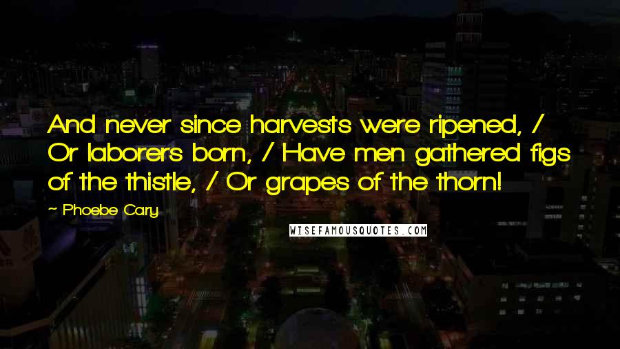 Phoebe Cary Quotes: And never since harvests were ripened, / Or laborers born, / Have men gathered figs of the thistle, / Or grapes of the thorn!
