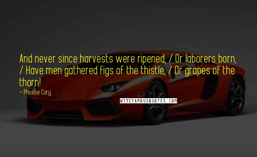 Phoebe Cary Quotes: And never since harvests were ripened, / Or laborers born, / Have men gathered figs of the thistle, / Or grapes of the thorn!
