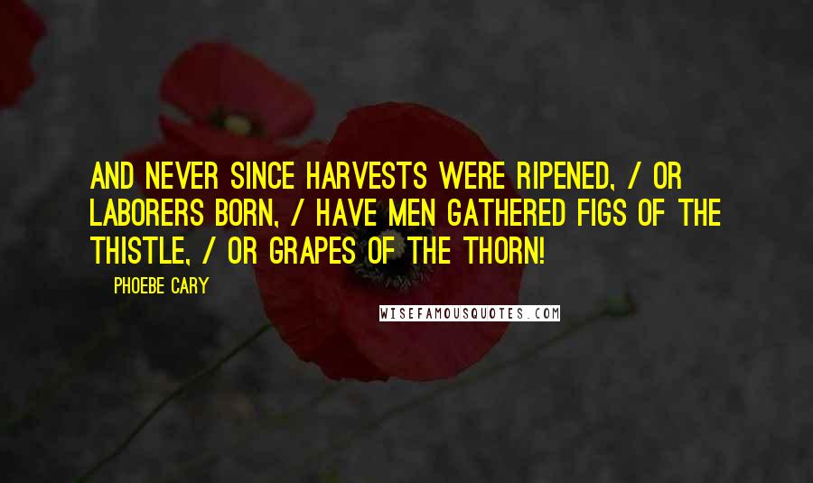 Phoebe Cary Quotes: And never since harvests were ripened, / Or laborers born, / Have men gathered figs of the thistle, / Or grapes of the thorn!