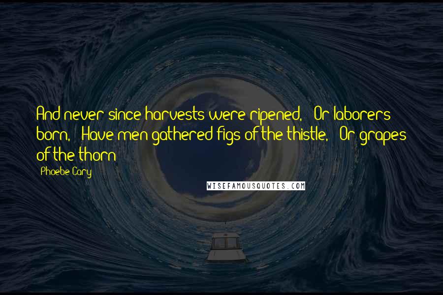 Phoebe Cary Quotes: And never since harvests were ripened, / Or laborers born, / Have men gathered figs of the thistle, / Or grapes of the thorn!