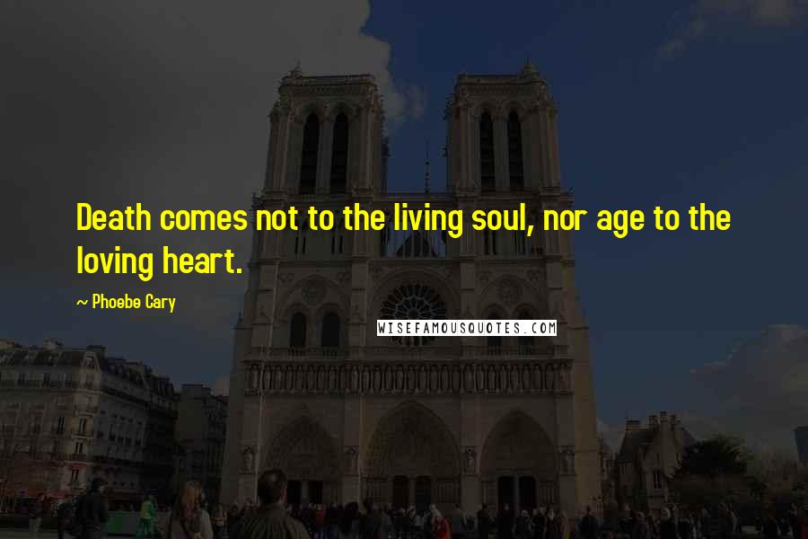 Phoebe Cary Quotes: Death comes not to the living soul, nor age to the loving heart.