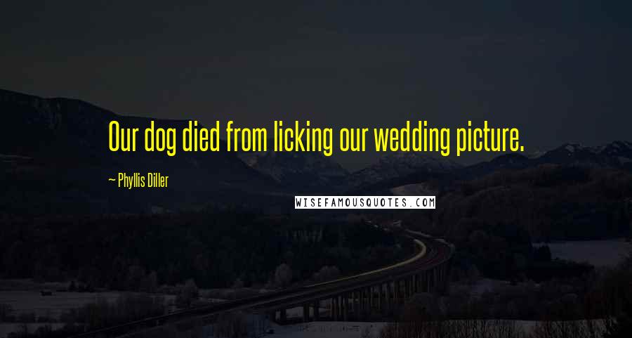 Phyllis Diller Quotes: Our dog died from licking our wedding picture.