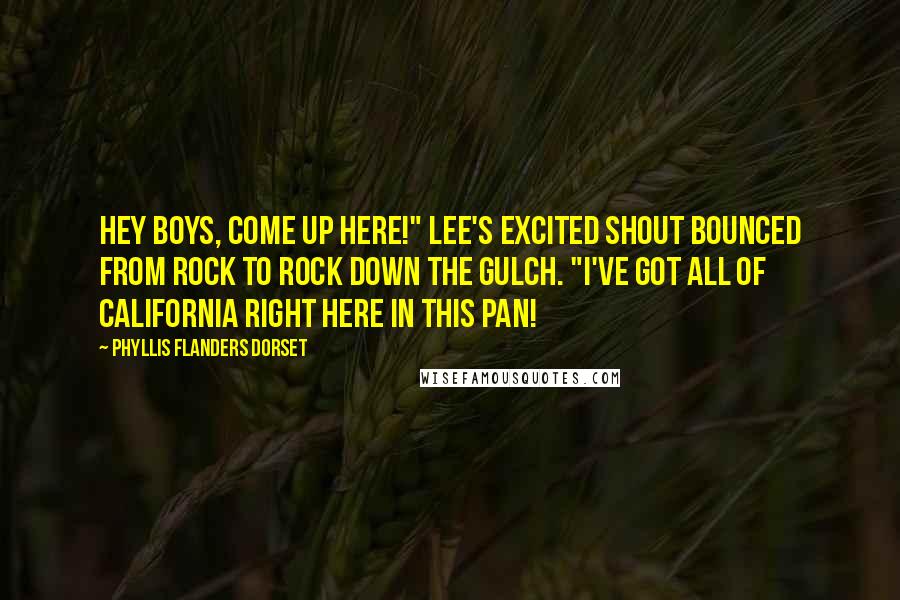 Phyllis Flanders Dorset Quotes: Hey boys, come up here!" Lee's excited shout bounced from rock to rock down the gulch. "I've got all of California right here in this pan!