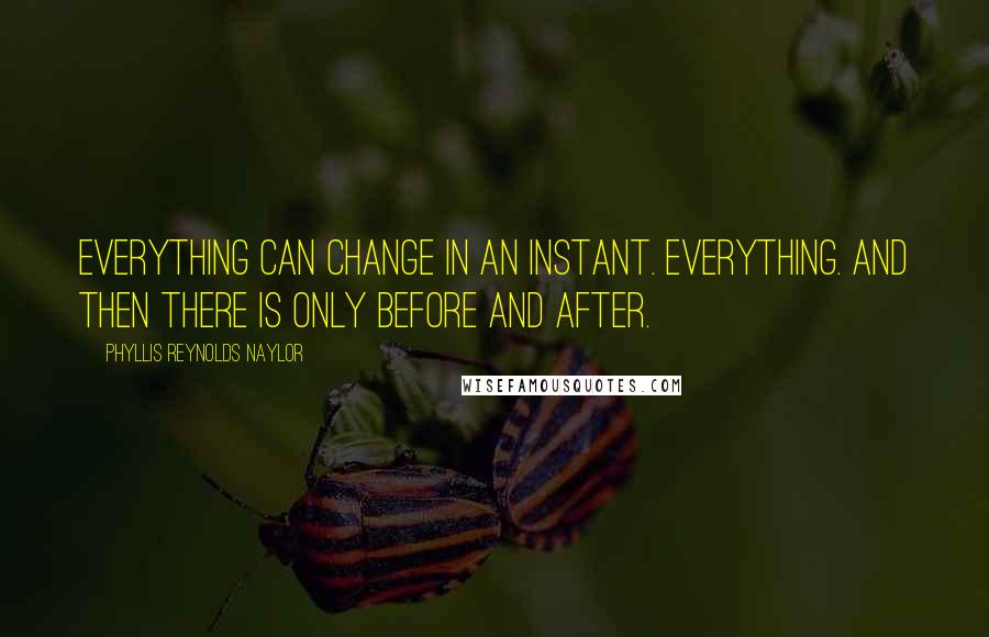 Phyllis Reynolds Naylor Quotes: Everything can change in an instant. Everything. And then there is only before and after.