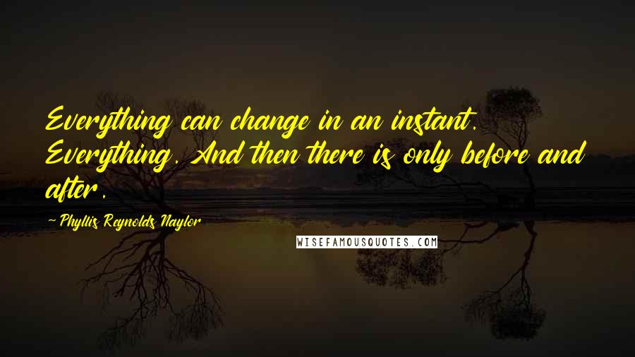 Phyllis Reynolds Naylor Quotes: Everything can change in an instant. Everything. And then there is only before and after.