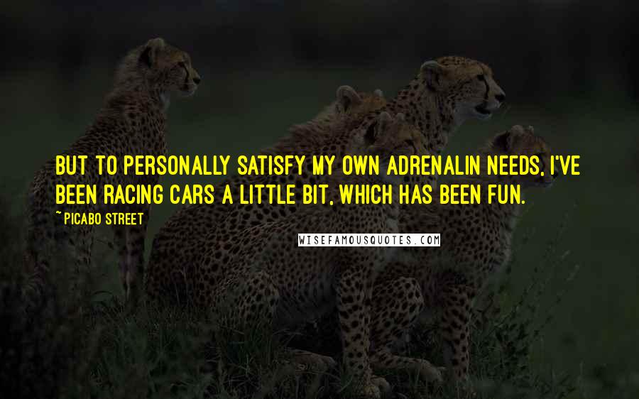 Picabo Street Quotes: But to personally satisfy my own adrenalin needs, I've been racing cars a little bit, which has been fun.
