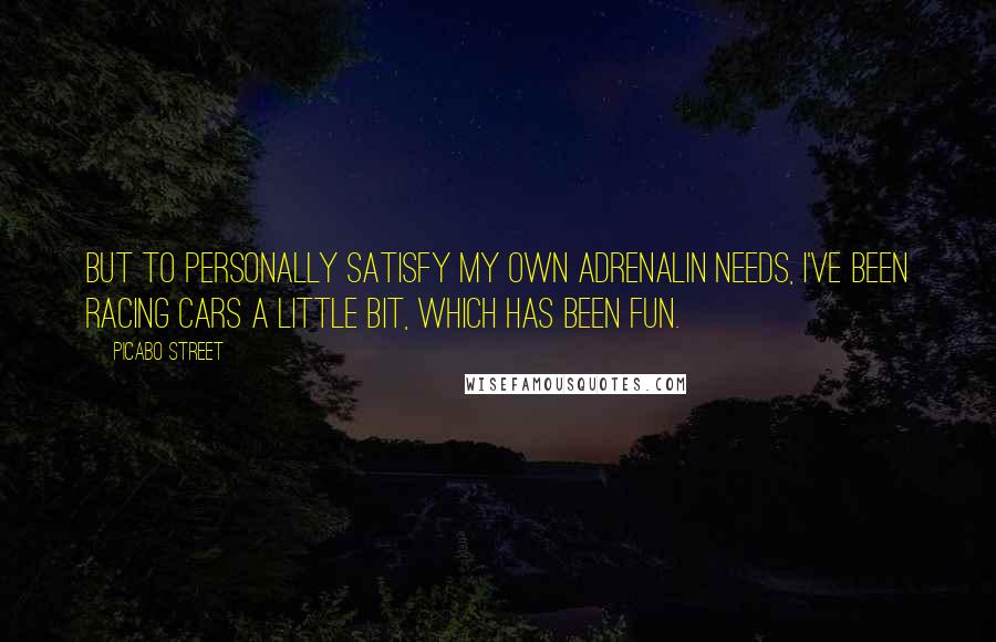 Picabo Street Quotes: But to personally satisfy my own adrenalin needs, I've been racing cars a little bit, which has been fun.