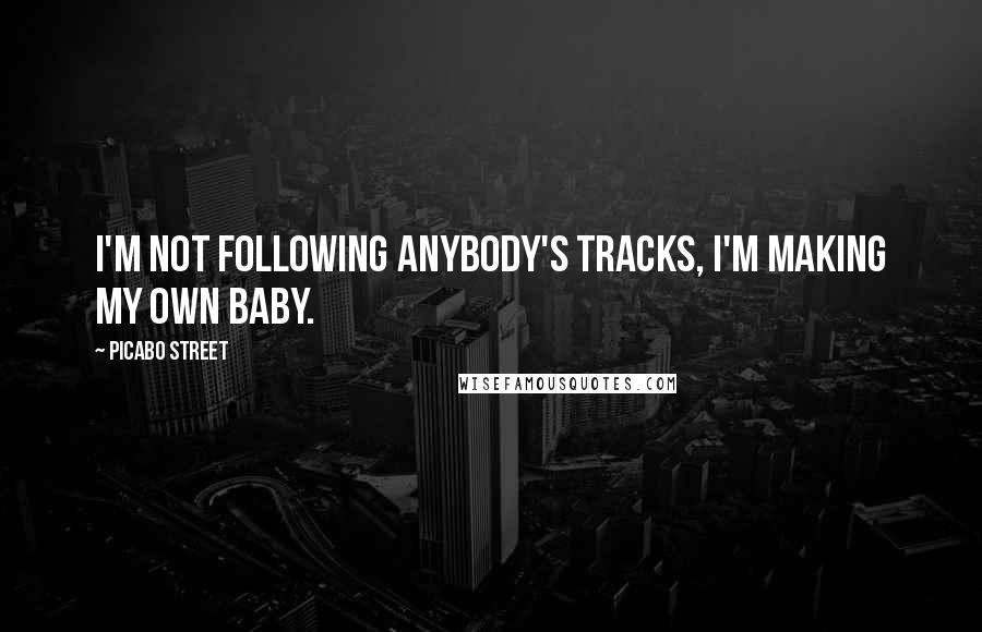 Picabo Street Quotes: I'm not following anybody's tracks, I'm making my own baby.