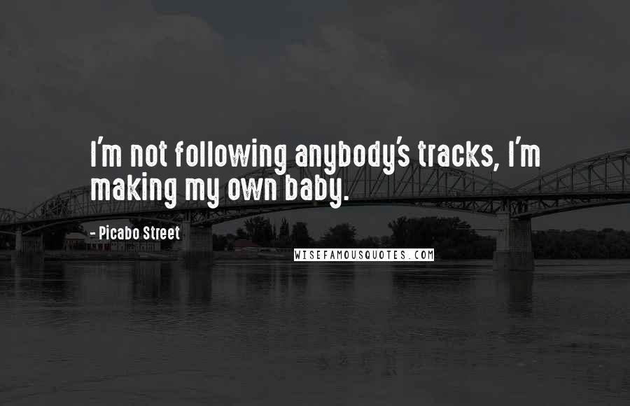 Picabo Street Quotes: I'm not following anybody's tracks, I'm making my own baby.