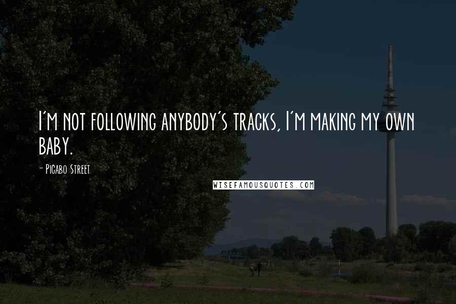 Picabo Street Quotes: I'm not following anybody's tracks, I'm making my own baby.