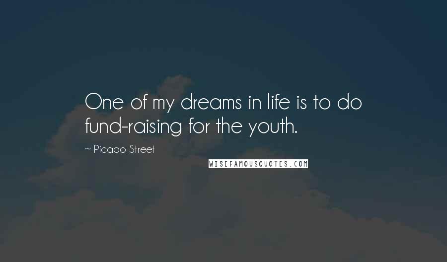 Picabo Street Quotes: One of my dreams in life is to do fund-raising for the youth.