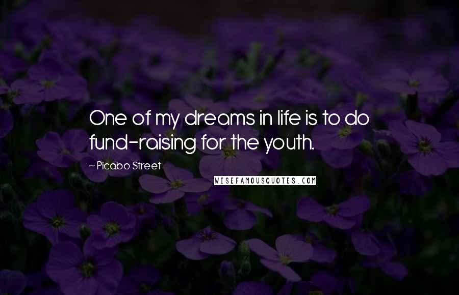 Picabo Street Quotes: One of my dreams in life is to do fund-raising for the youth.
