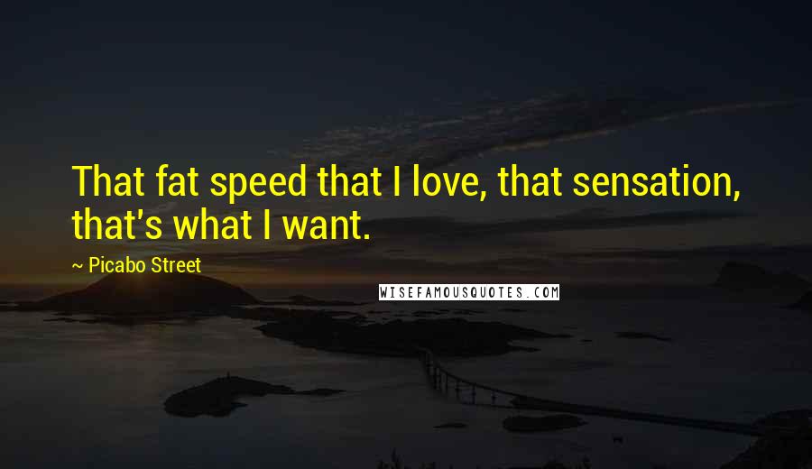 Picabo Street Quotes: That fat speed that I love, that sensation, that's what I want.