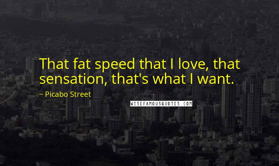 Picabo Street Quotes: That fat speed that I love, that sensation, that's what I want.